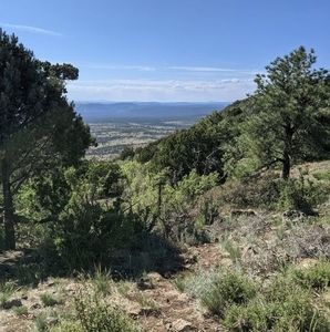 Meet your Posher, Ricki